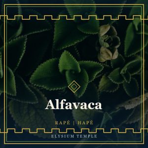 Alfavaca