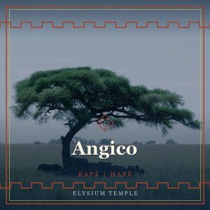 Angico