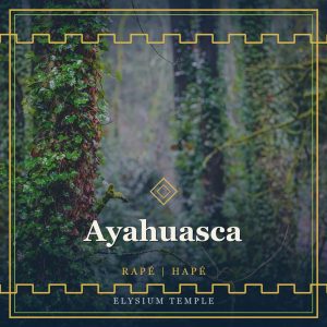 Ayahuasca