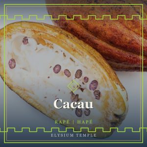Cacau
