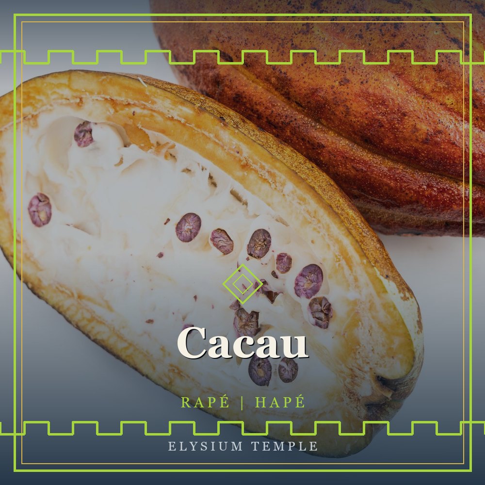 Cacau