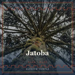 Jatoba