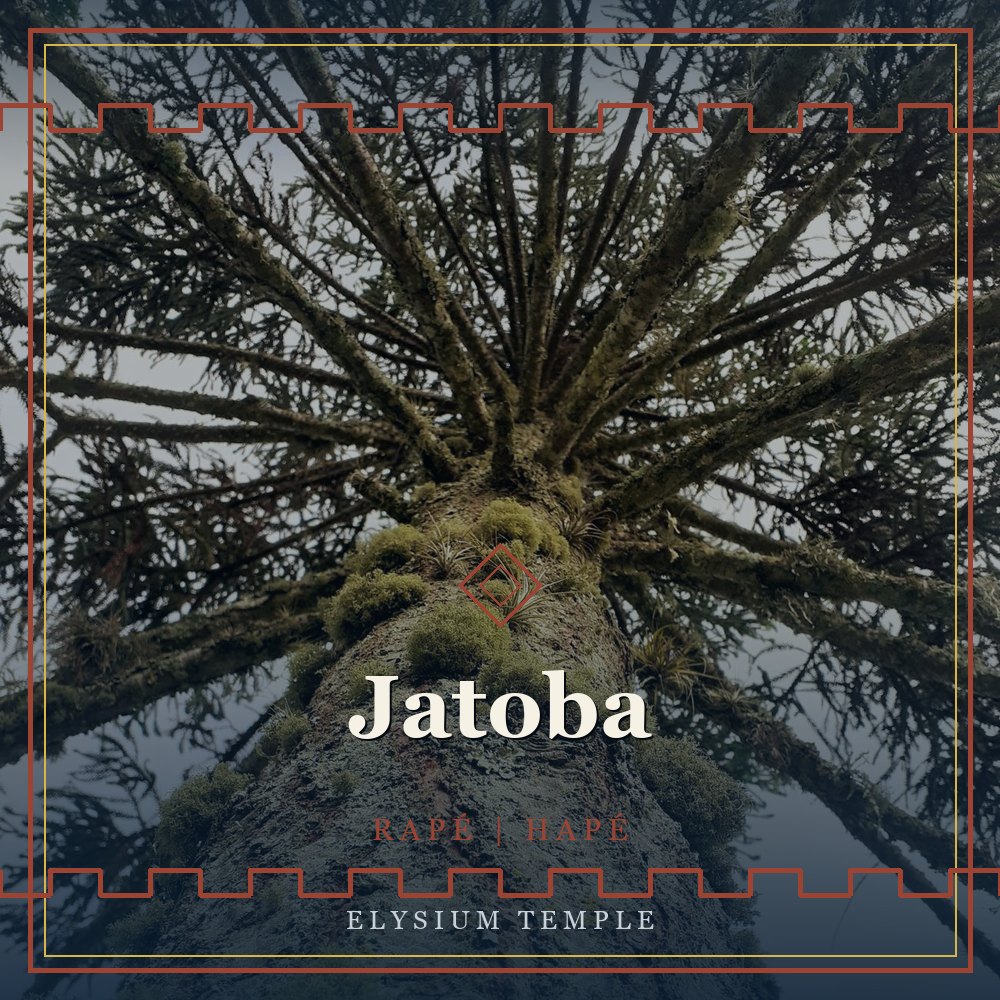 Jatoba