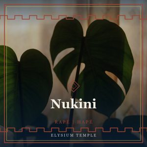 Nukini