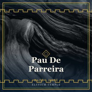 Pau De Parreira