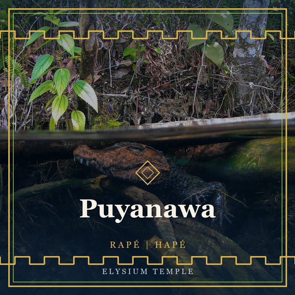 Puyanawa