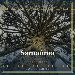 Samaúma