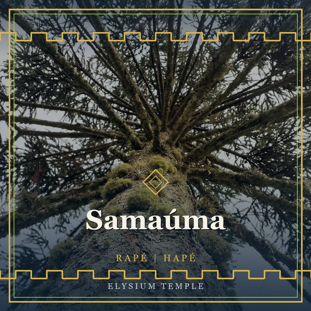 Samaúma