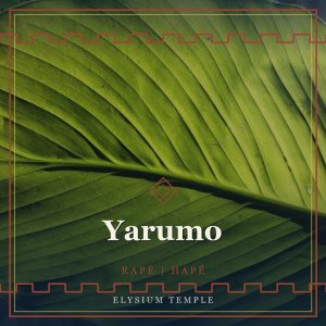 Yarumo