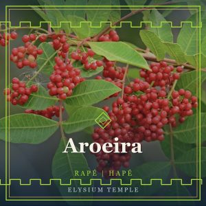 Aroeira