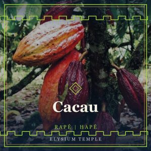 Cacau