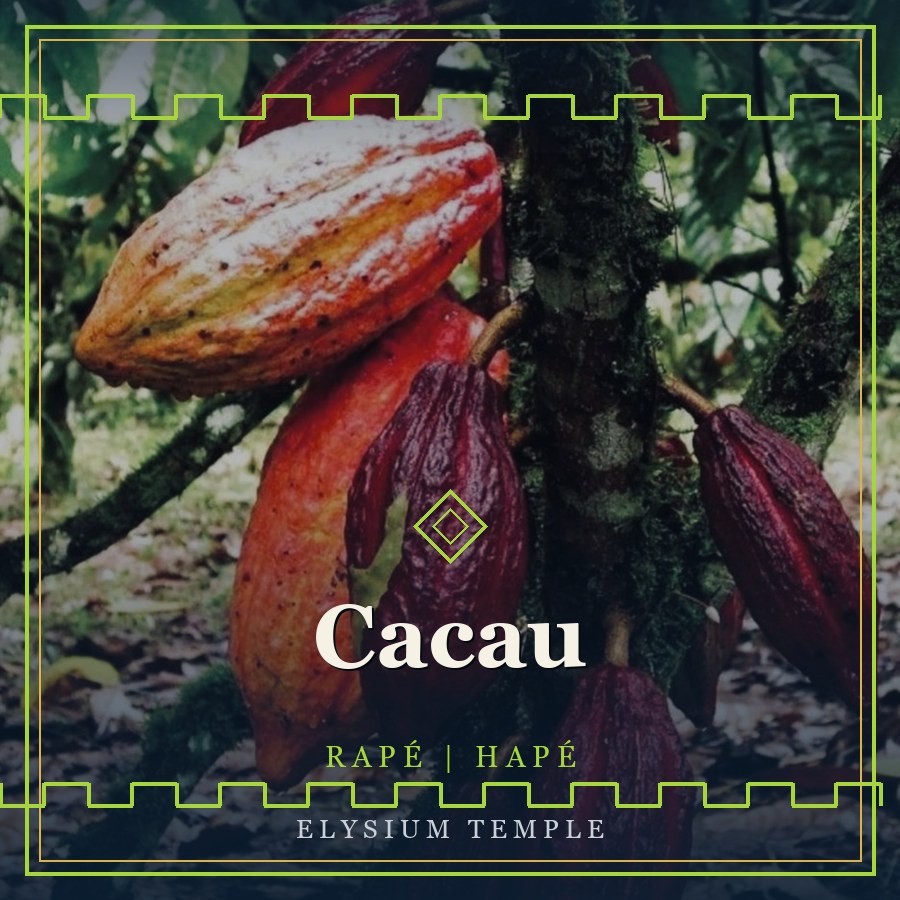 Cacau