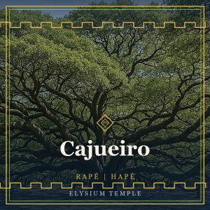 Cajueiro