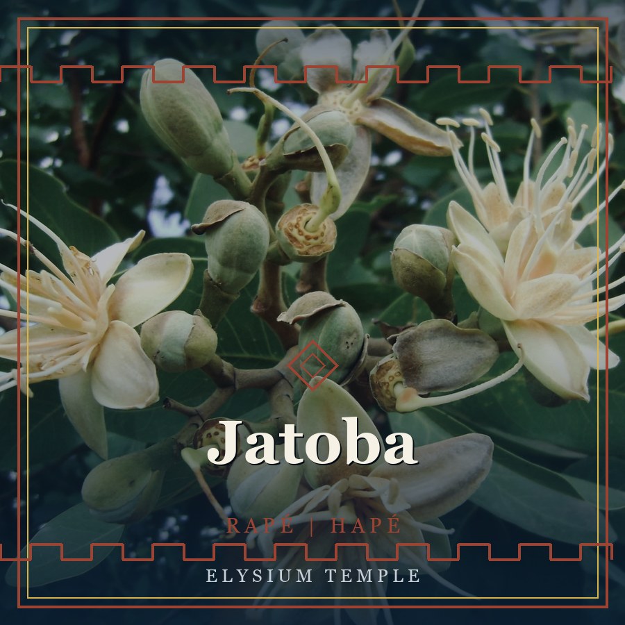 Jatoba