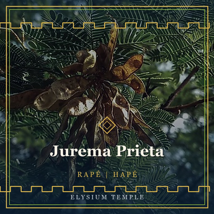 Jurema Prieta