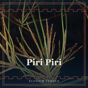 Piri Piri