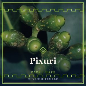 Pixuri