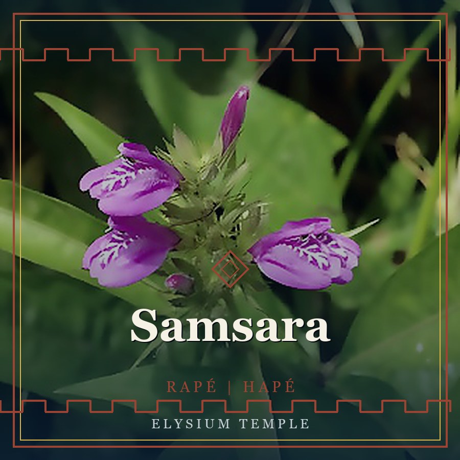 Samsara