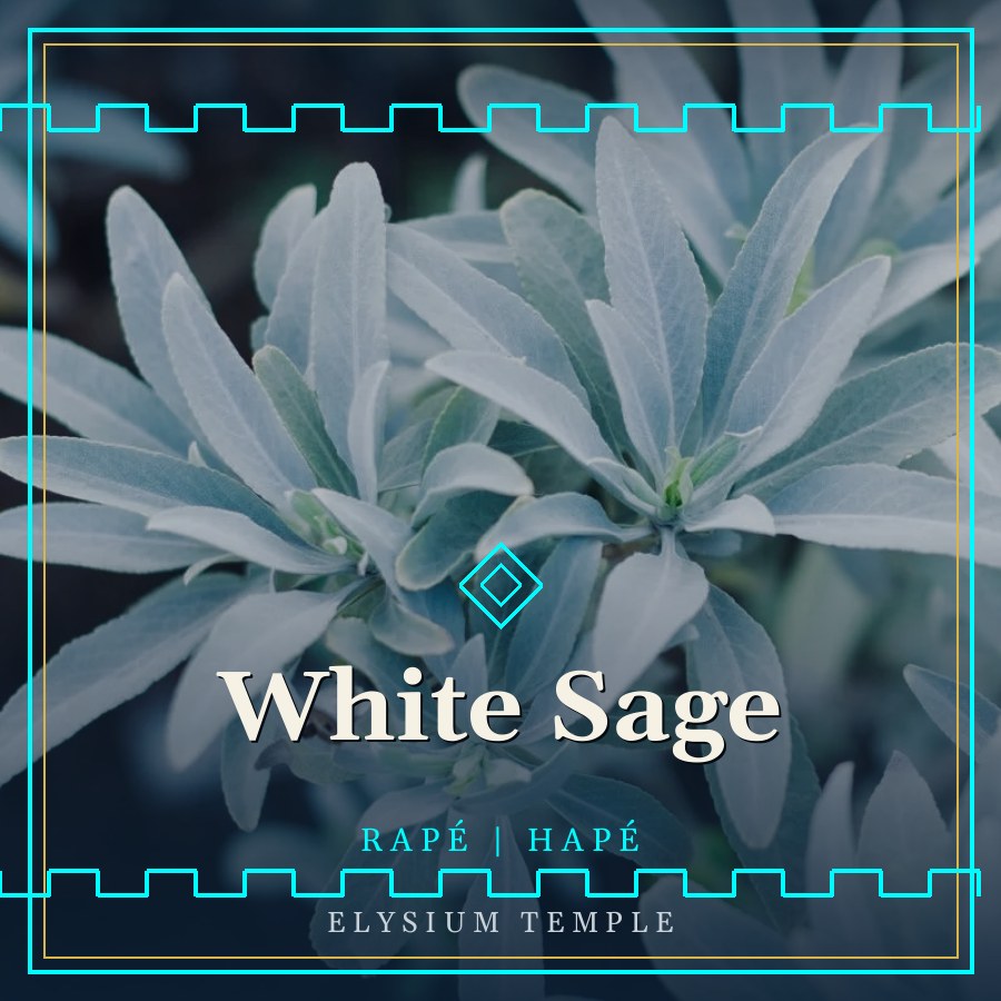 White Sage