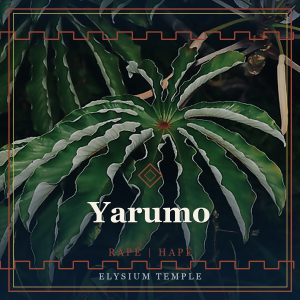 Yarumo
